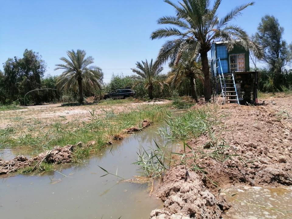 .. موقع مميز.. 5.. دونم سند 25 طابو تحويل مباشر سند جديد بأسمي وجه الأرض 100م ونزال 125م.. تحتوي على 68نخله تمر حمال مع دار سكن وحقل للمواشي مع كافة الخدمات.. ماء.. وكهرباء ونت..مع مشروع للسقي صب درجة أولى.. الأرض خصبة جدا وموقع مميز قرب قضاء العزيزيه مباشرتا...للمعلومات الاتصال.. *********** الصويرة, واسط
