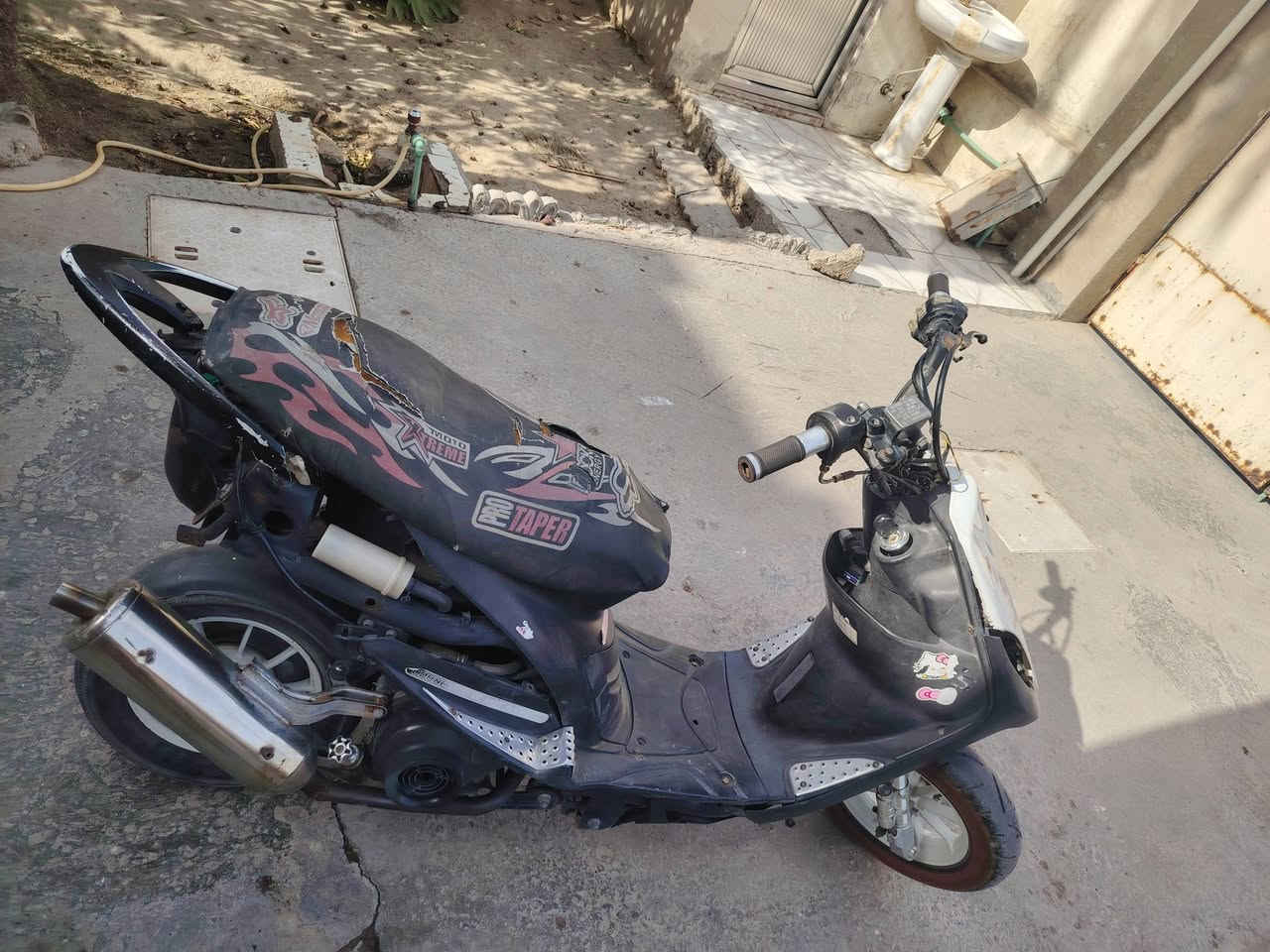 ماكس عدلة • بوشة 55 • سلف وهندل