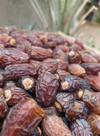 تمر بريم • جديد سنة • توصيل المحافظات