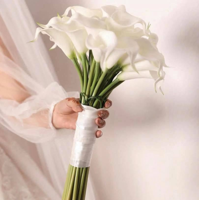 متوفر جميع باقات الورد للاعراس والتخرج 🌹💐
وباسعار مناسبة 💯

مكتبة نفر المركزية 
ناحية نفر شارع النص قرب دائرة الجنسية 
واتساب ***********
تلي Mnr2244
