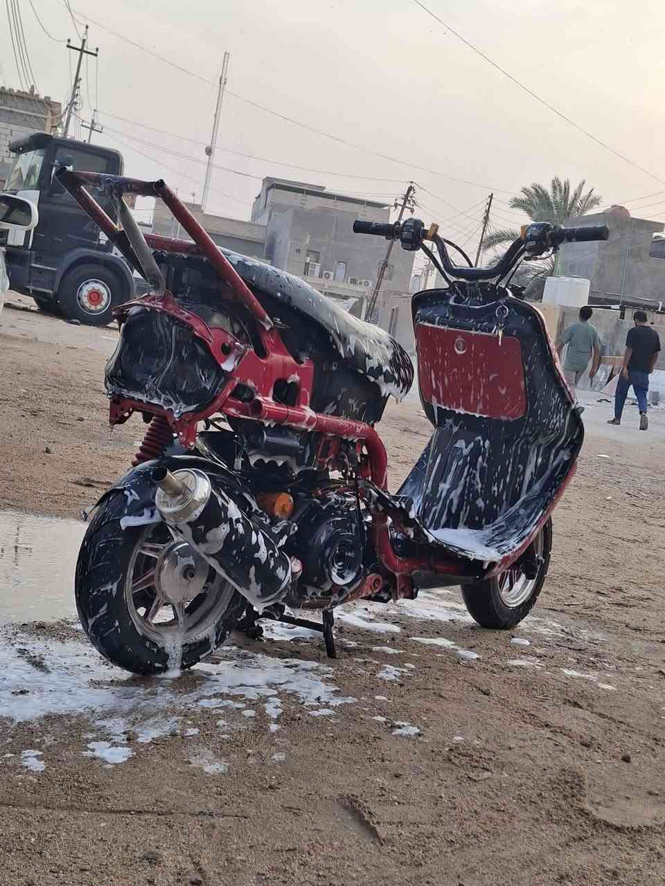 فراشة • ماكس • تعمير جديد