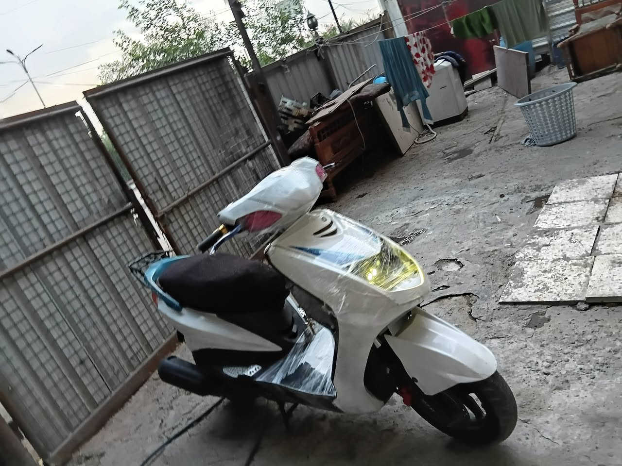 سكنس • ياباني • سلف وهندر