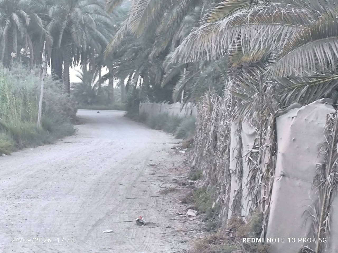 السلام عليكم قطعة أرض زراعي بستان 25 المساحه 300متر الواجهه 12ونزال 26 خلف حي عدنان شارع البو عبدالله نزلة سيد شاكر مقابيل الاستاذ علاء ضيدان تبعد عن شارع البو عبدالله 130متر تقريبا
للاستفسار مكتب اسوار المدحتية للعقارات مقابل السايلو حي الحور 
*********** أبو محمد
عمادابو نور***********

نص مكتوب في الصور:
- 24/09/2026 17:54 REDMI NOTE 13 PRO+ 5G
- 24/09/2026 17:58 REDMI NOTE 13 PRO+ 5G
- 24/09/2026 17:52 REDMI NOTE 13 PRO+ 5G
- 24/09/2026 17:53 REDMI NOTE 13 PRO+ 5G
- 24/09/2026 17:56
- REDMI NOTE 13 PRO+ 5G