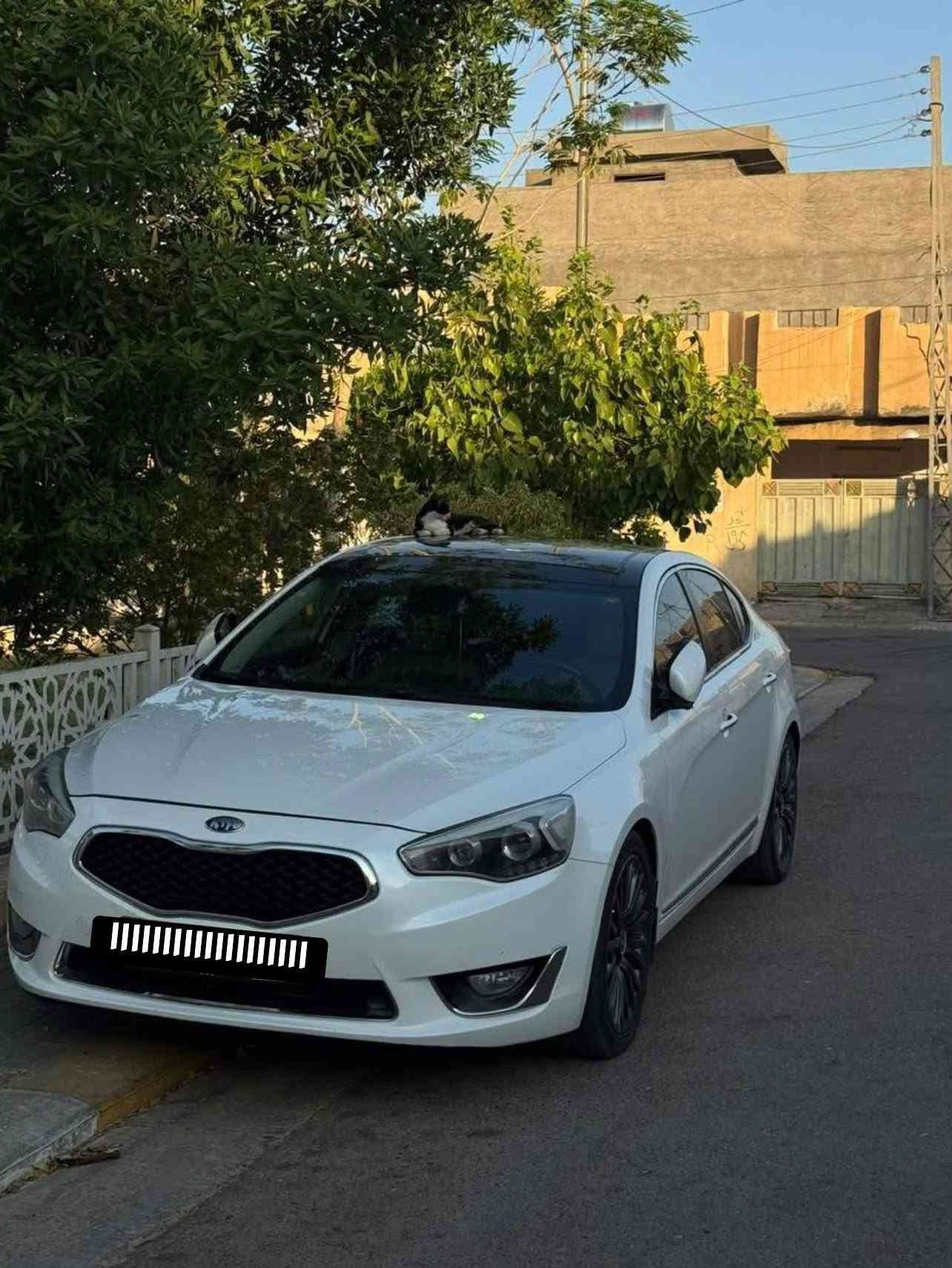 يالله سلام عليكم كيا كادنزه طك كارتون  اااااازادواتً جديده حيل وفول موصفات بنراما بصمه كشنات حار بارد ثنين كهرباء كشن خزن   مكينه 6سلندر كارتون حجر بلادي ما مفتوح خرسه لمكينه حداذيه جديده كير بلادي جديد باتري تخم تاير جديد ويل حجم 19 سياره مديل 2016موصفات ما تخلص  مكان نجف سعر خاص شباب ماسنجر ما جاوب ***********
