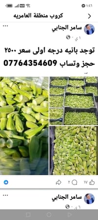 بانية • درجة اولى • العامرية