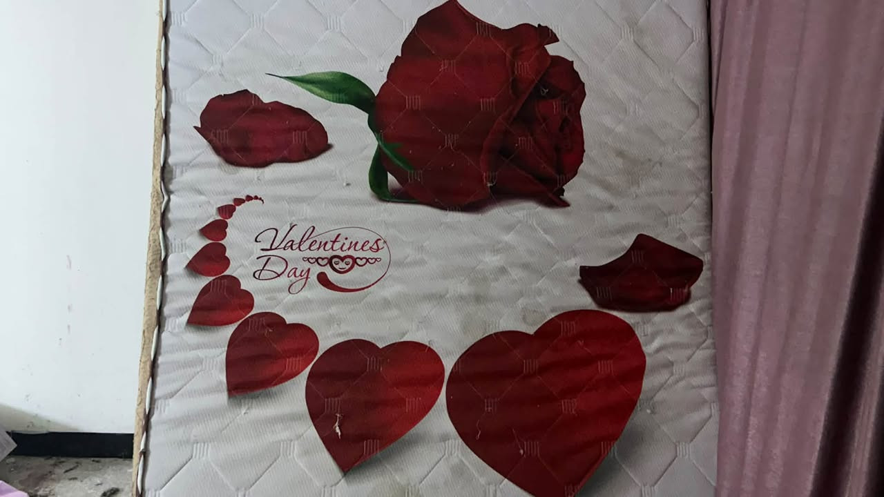 دواشك نفرين للبيع عدد 2

‭***********‬
