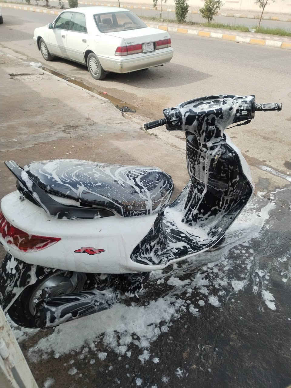 فراشة نثية • مكينه ناعمه • كامله