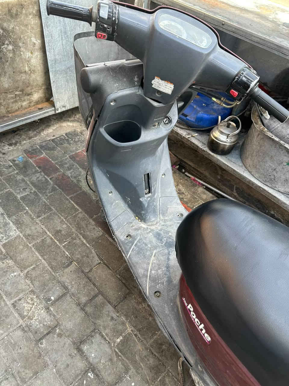 منغولي للبيع سلف هندر شغاله خير من الله شفت عينك 
السعر 375الف مستعجل 
***********كربللاء مكاني
