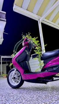 سكنس فحل • ياباني • تزويد