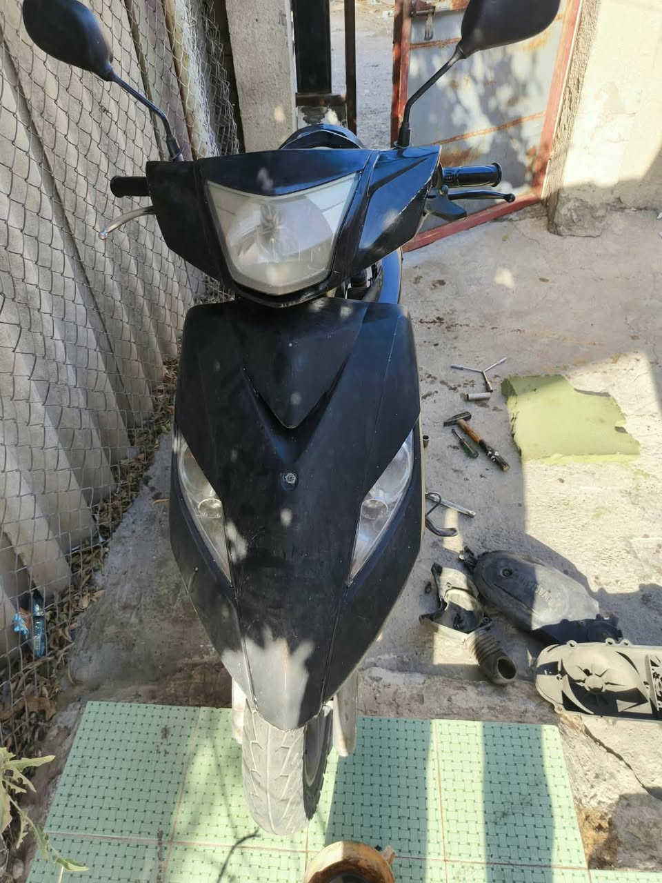 ثعلب • حلوة • بعقوبة