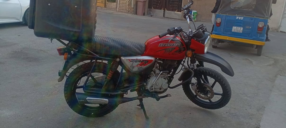 بوكسر • ٢٠٢٠ • جبلي