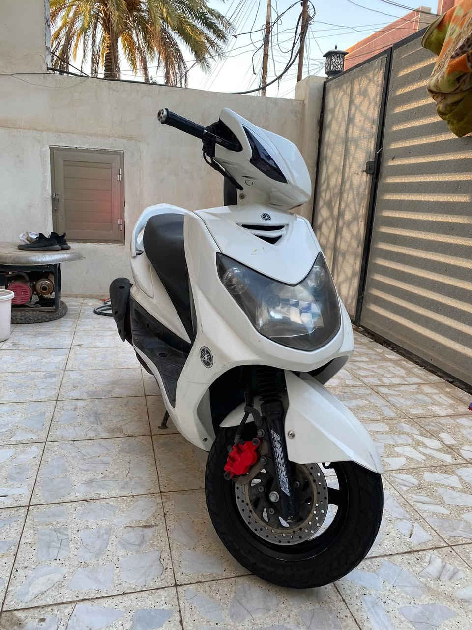 سكنس فحل • مراوس • نضيف