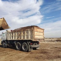 سماد دمن • عجول تسمين • جبله