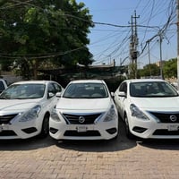 صني هندي • ٢٠٢٤ • بدون صبغ