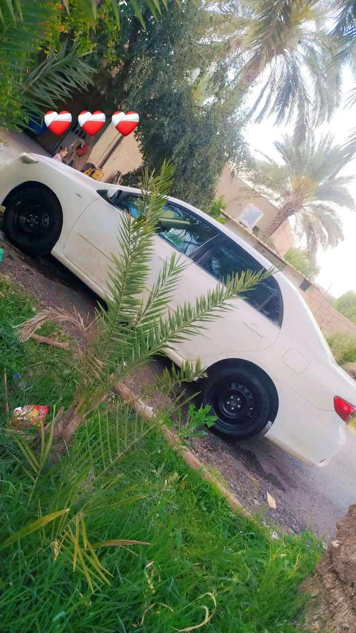 السلام عليكم
كورلا 2008خليجي
كير مكينه خير من الله
تبريد بهذا الشهر عطل تخم تاير شديته جديد صدره خير من الله مشط مال گصه جديد بيه جاملوغ وبنيد والجاملوغ الاخر مرشوش بدون ضربه ومن راشين الدعاميه الخلفيه صاعدين برش بدون معجون رش مال غشمه ضفيره شادله مال حاويه كهربائياته كله شغاله فيت بم وعبوه جديده وبعد تشوف وتقتنع
رايده ب٨٢وبيه مجال قليل
مكاني الخالص قريه زنبور
***********
