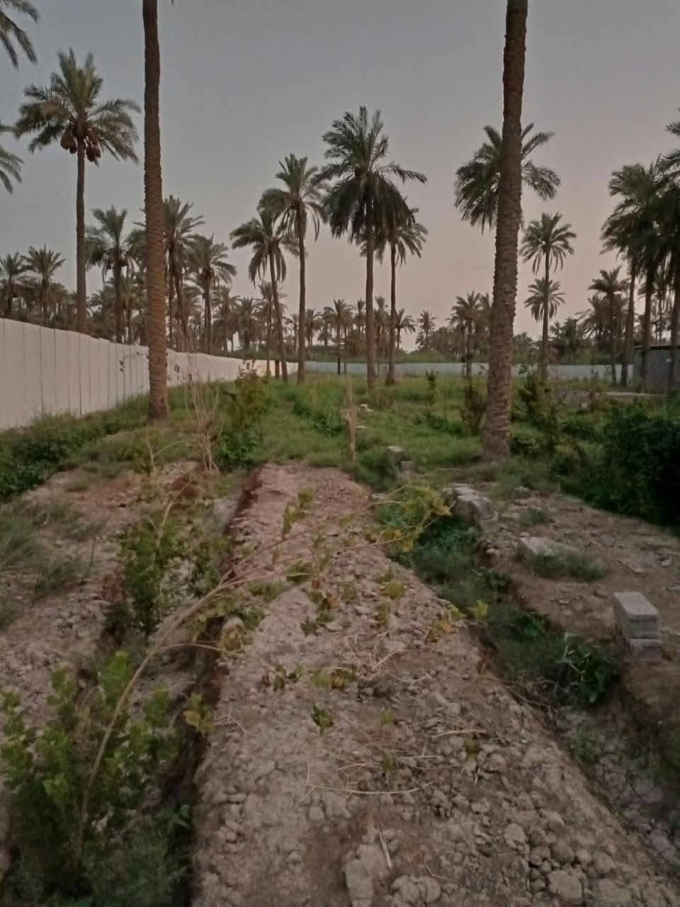 مسيجة • طابو زراعي سند ٢٥ • ٢٥٠٠م٢