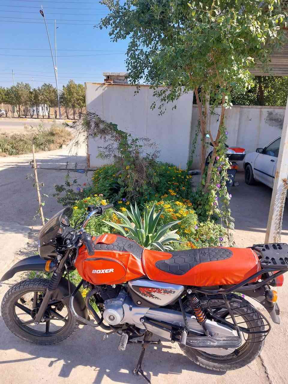 دراجه للبيع بوكسر موديل 23 دراجه حلوه ونضيفه كل نقص ما بيها محرك البلادي مكاني البصره (القرنة) رقم انكليزي بسمي الدراجه هاي شوفت عينك وهذا رقمي ***********  سعر 2400000 مليونين  وربع ميه الف بيها مجال حك جيه
