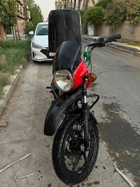 بوكسر جبلي • ٢٠٢٤ • ما بيها اوراق
