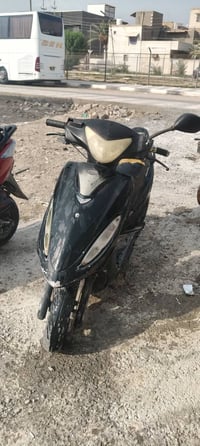 شغاله • سلف • مستعجل