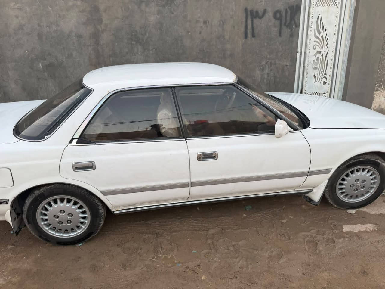 نضيفه • تبريد • نجف
