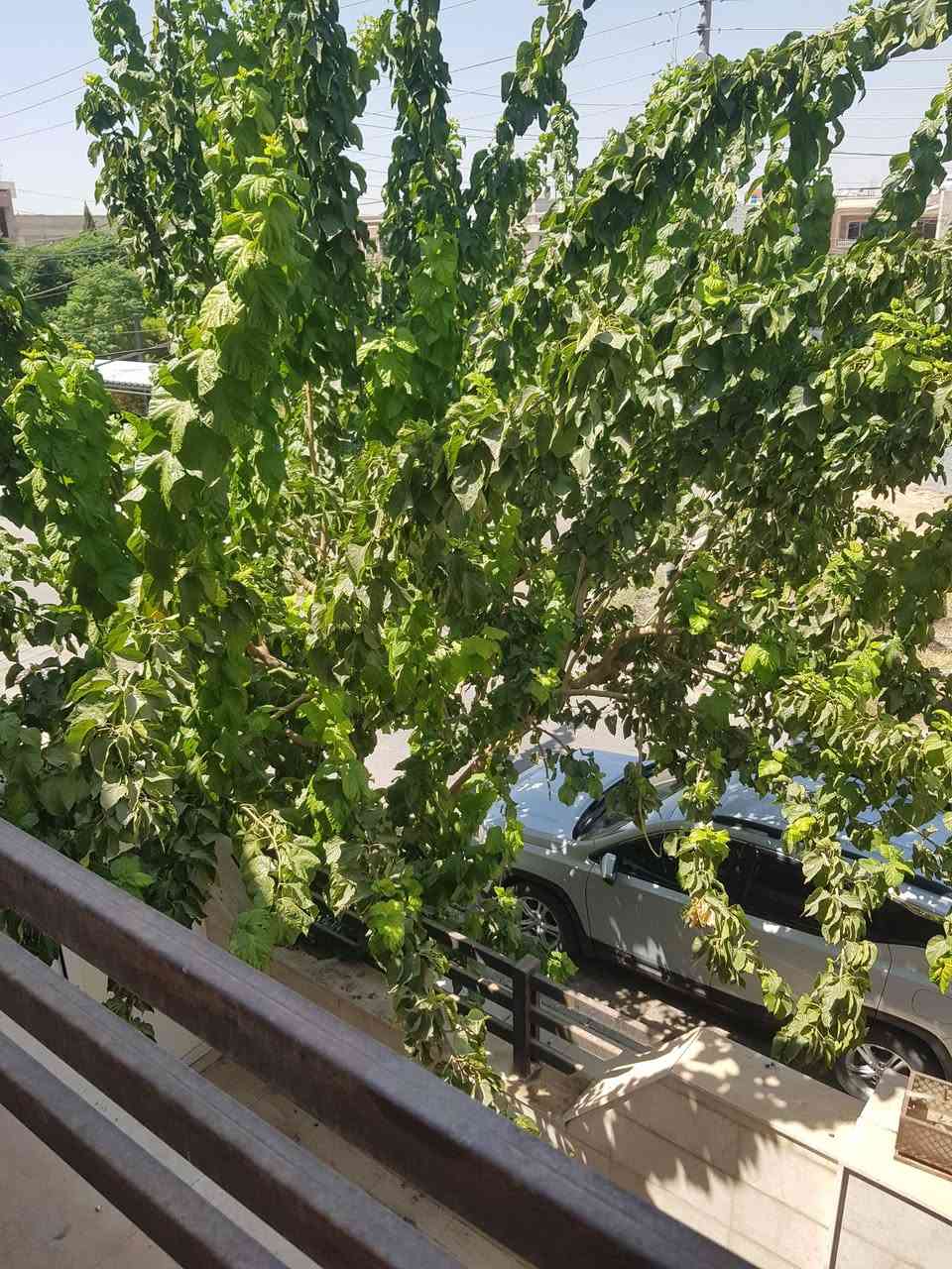 🏡بيت200متر فارغ للإيجارالدائمي🏡
/أربيل/شارع100/المربع الذهبي/
/بارك32/جانب فندق رمادا/
للتواصل واتس***********  
/مساحة200متر/4غرف/طابقين/
/سباليت/مبردات/كاونتر وطباخ/
/حديقة/كراج/غرف ماستر/بلكون/
