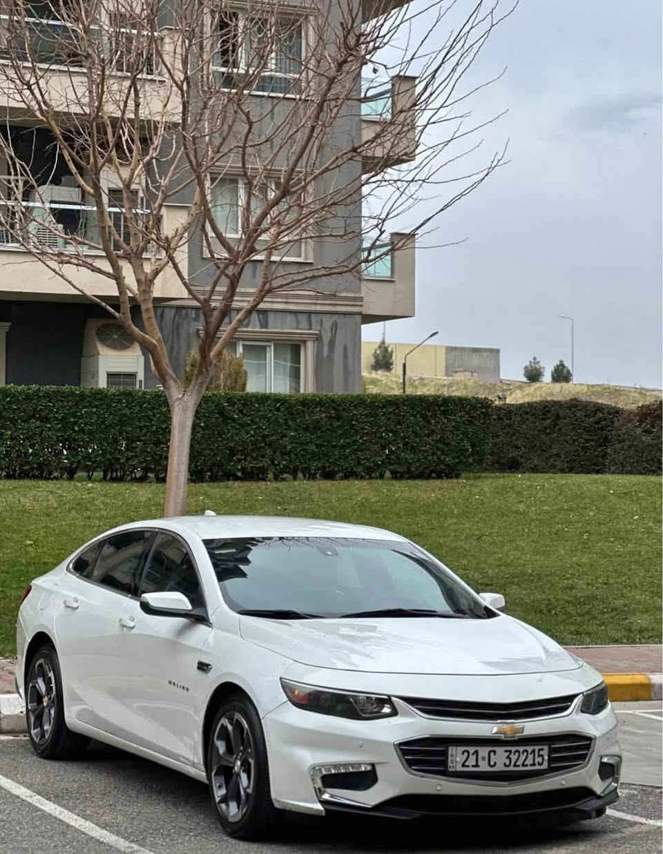 Malibu 2017 LT1
‎شۆفرلێت مالیبۆ ٢٠١٧ 
‎مه‌كینه‌ ١.٥ ی تۆربۆ 
ڕەنگی سپی سەدەفە زۆر جوانە
تایە و ویلی پریمەر وە بەگلایتی دواوەی گۆڕاوە بە لید کە لێرە بوونی نییە لە سینەوە تەڵەب کراوە زۆر جوانە 
گێڕو مەکینە بە شەرت نەکراوە بێ کێشە 
سەنەوی تا ٢٠٢٧ مانگی ١١ تازەیە 
تەنها ٤ پارچەی و تۆزێ شانی دواوەی بۆیاخە بێ مەعجون تەنها لەسەر شوخت پێش و پشتی کەپسە ئێڕباگی نەتەقیوە هەمووی بیلادە 
شاشە گەورە ، کوشن کارەبا ، ٥ بەصمە ، کارپلەی ، لایت زینۆن بیلاد ، ئۆتۆ ئیستۆپ ، کامێرا ، کامل لیدی ناوە بیلاد ، گێر ئۆتۆماتیك و عادی ، زۆر مواسەفاتی تر...
ژمارە مۆبایل : ***********

نرخی تەنها ٩١ گەڵاو معامەلەیەکی کەم .
