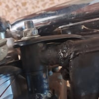 سكنس • ٢٠٢٦ • فطر بالماشه