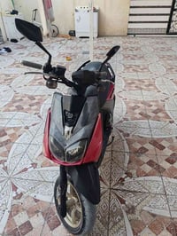 سكنس جبلي • ياباني • كفاله