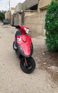 ماكس بلادي • ٤٩ • مكفول