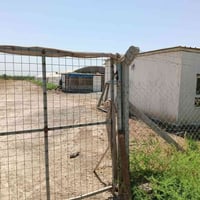 حقل دجاج • ٣ دونم • بعقوبة