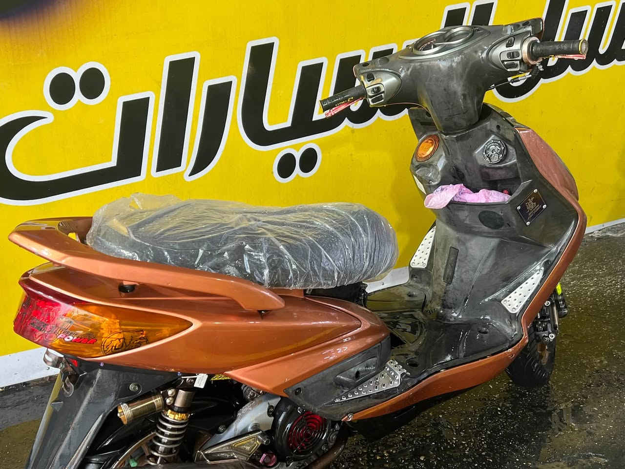 سكنس فحل • تزويد خارجي • مشمشي