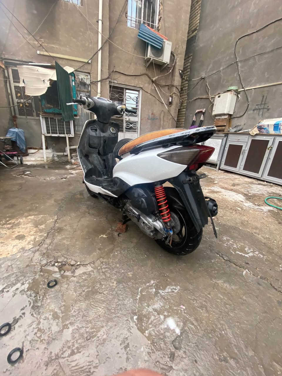 سكنس نثيه • ياباني • ١١٠