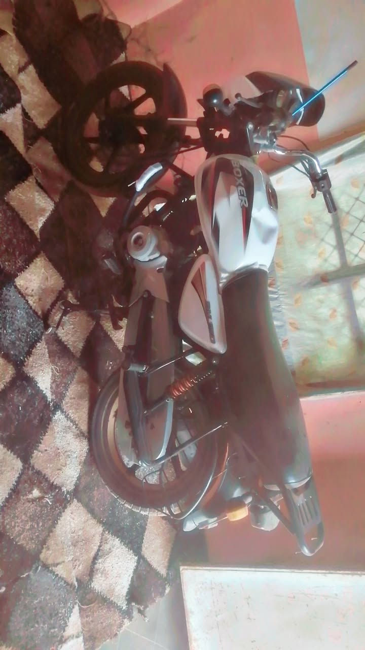 بوكسر • ٢١ • اوراق اصولي