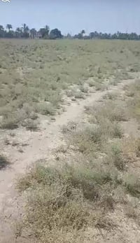 أرض • للبيع • بدون تفاصيل