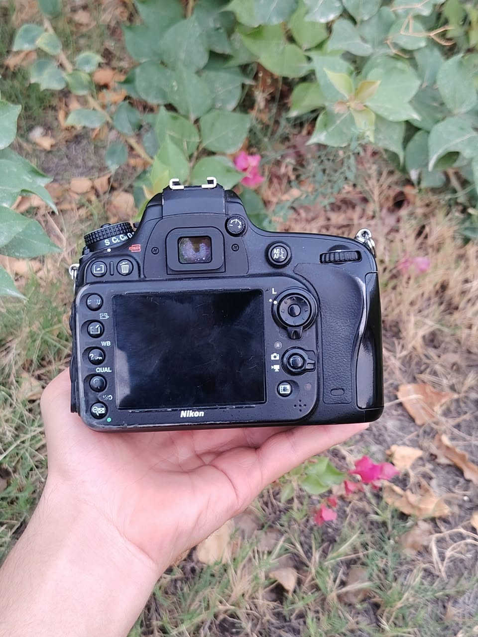 نيكون D610 • فل فريم • النجف الكوفه