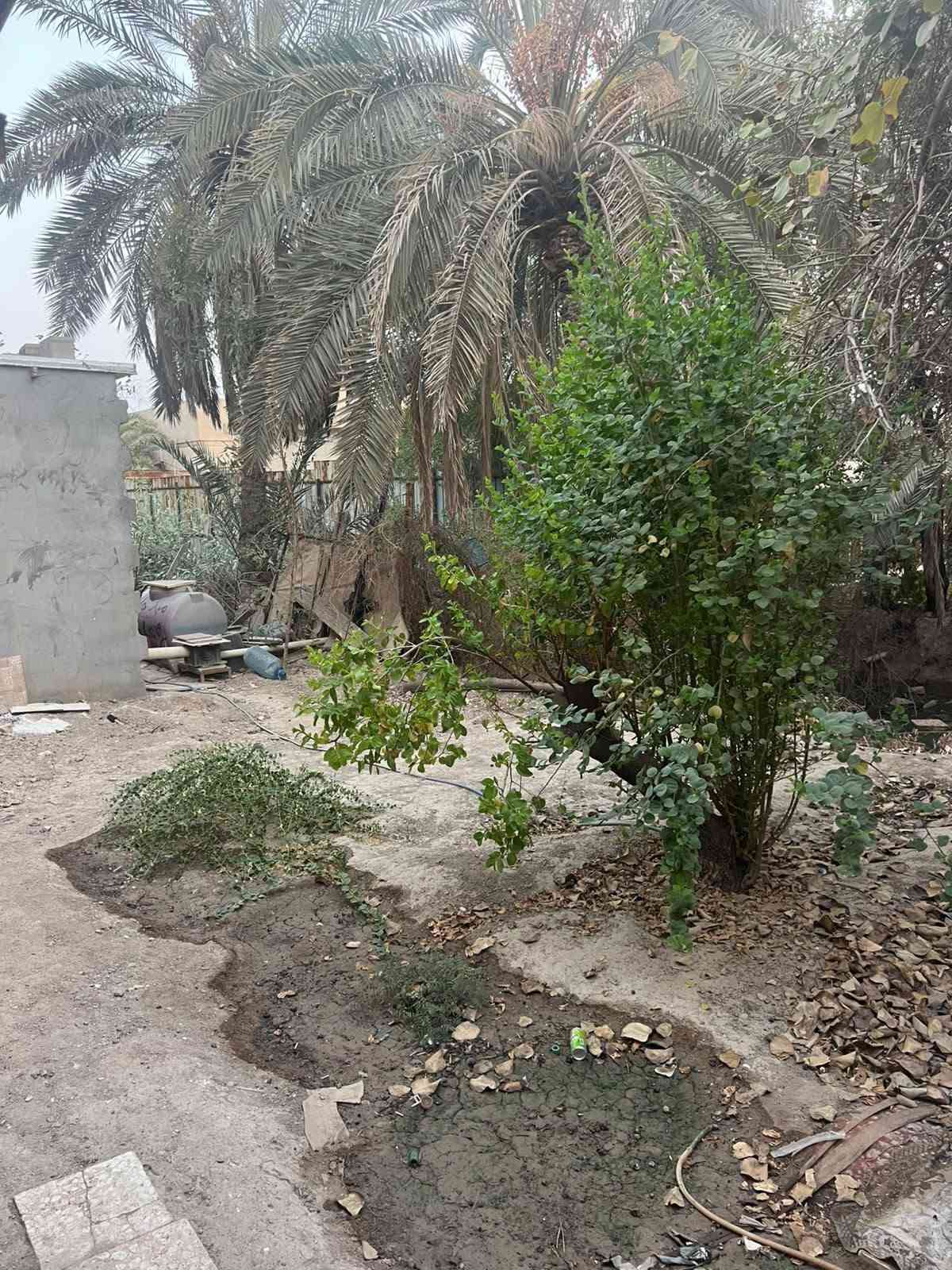 ابي الخصيب عويسيان • ٣٠٠م • طابو زراعي