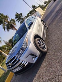 هايلندر XLE • ٢٠١٩ • بدون صبغ