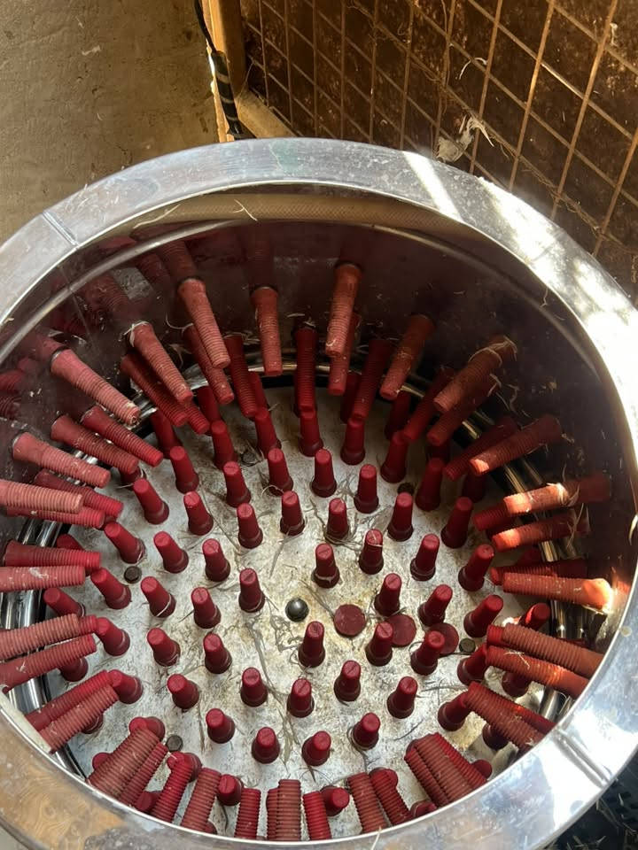 غراض محل دجاج للبيع هلاسه +سنك + ميزان +مذبح +مولده +مبرده 
الاستفسار عن طريق الاتصال ع رقم ***********
