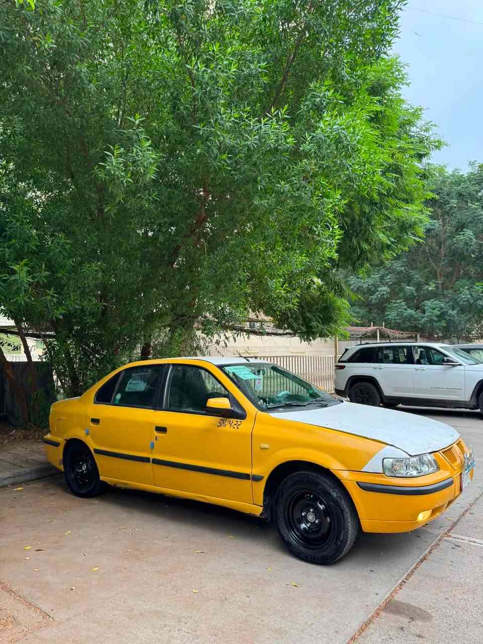 سمند • ٢٠١١ • مراوس