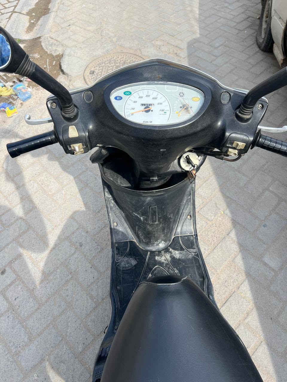 بغبغاء • نظيفة • مكفولة