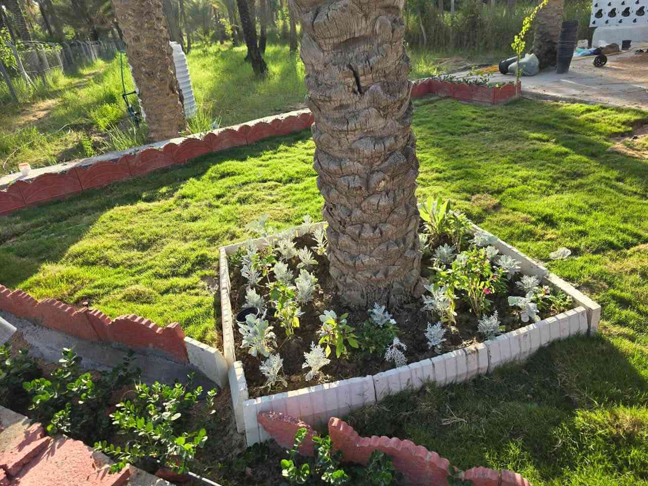 فرصة استثمارية • ٢٥٠٠م • طابو زراعي