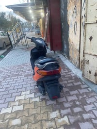 دولفين • نضيف • قابل تفاوض