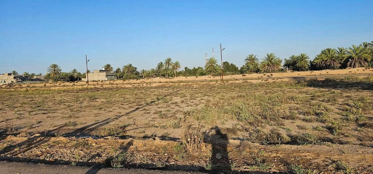 الموقع الغالبية • ٢٠٠م • طابو زراعي