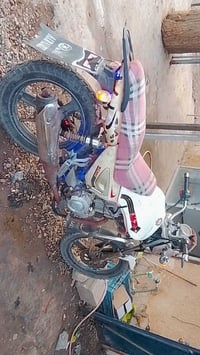 MZ • موديل ١٥ • معدل تخبل