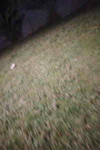 أبو غريب • ١٠ دونم • سند ٢٥