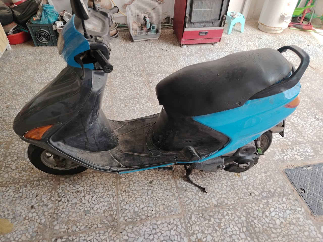 فراشة • جاهزه • ماعايزه