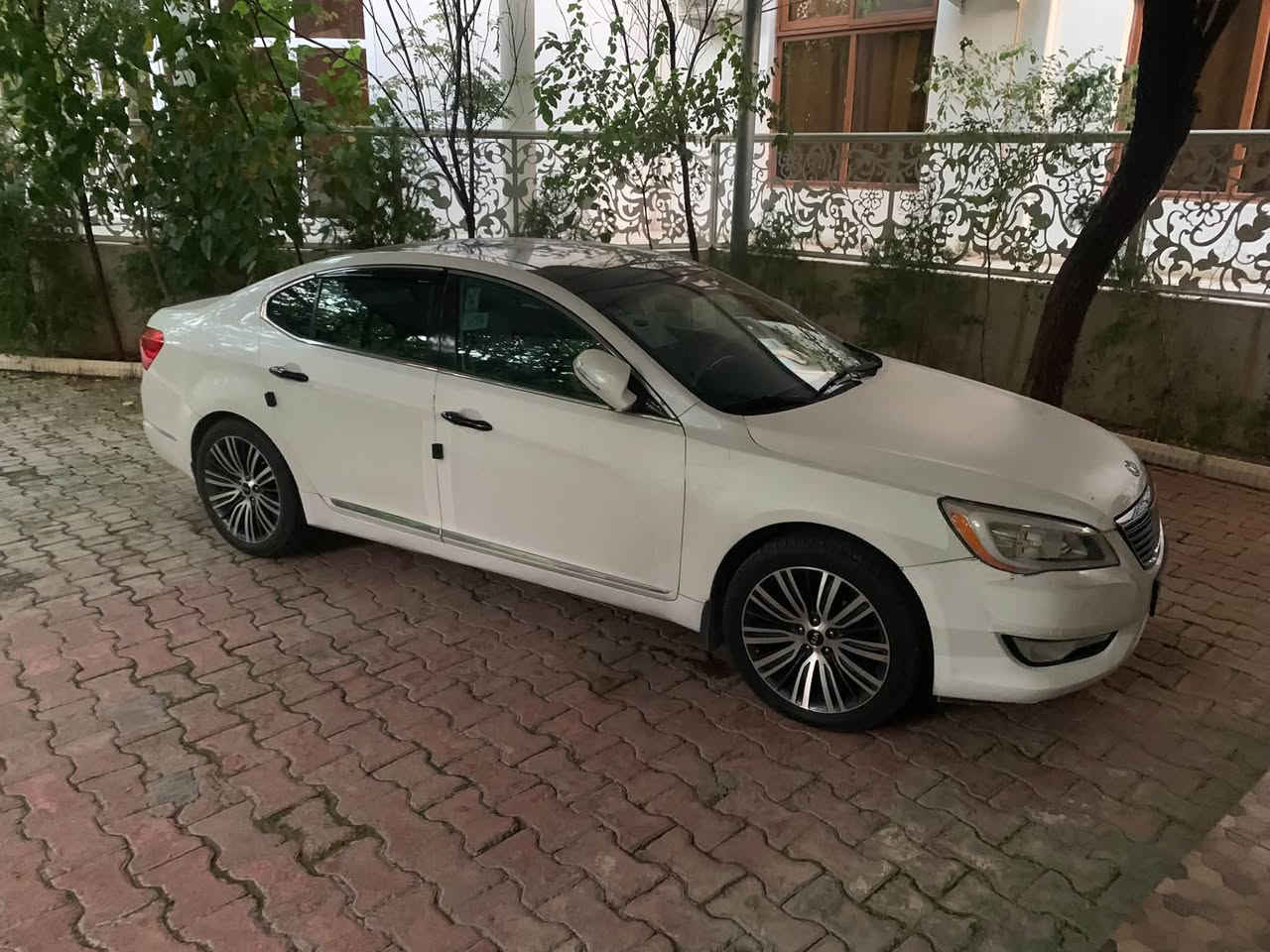 كادنزا 2011 
بدون ضربه بس قطعتين صبغ صغيرات 
سعر 110 بيها مجال للطيبين 
رقم مميز بغداد

 مراسله واتساب ***********
