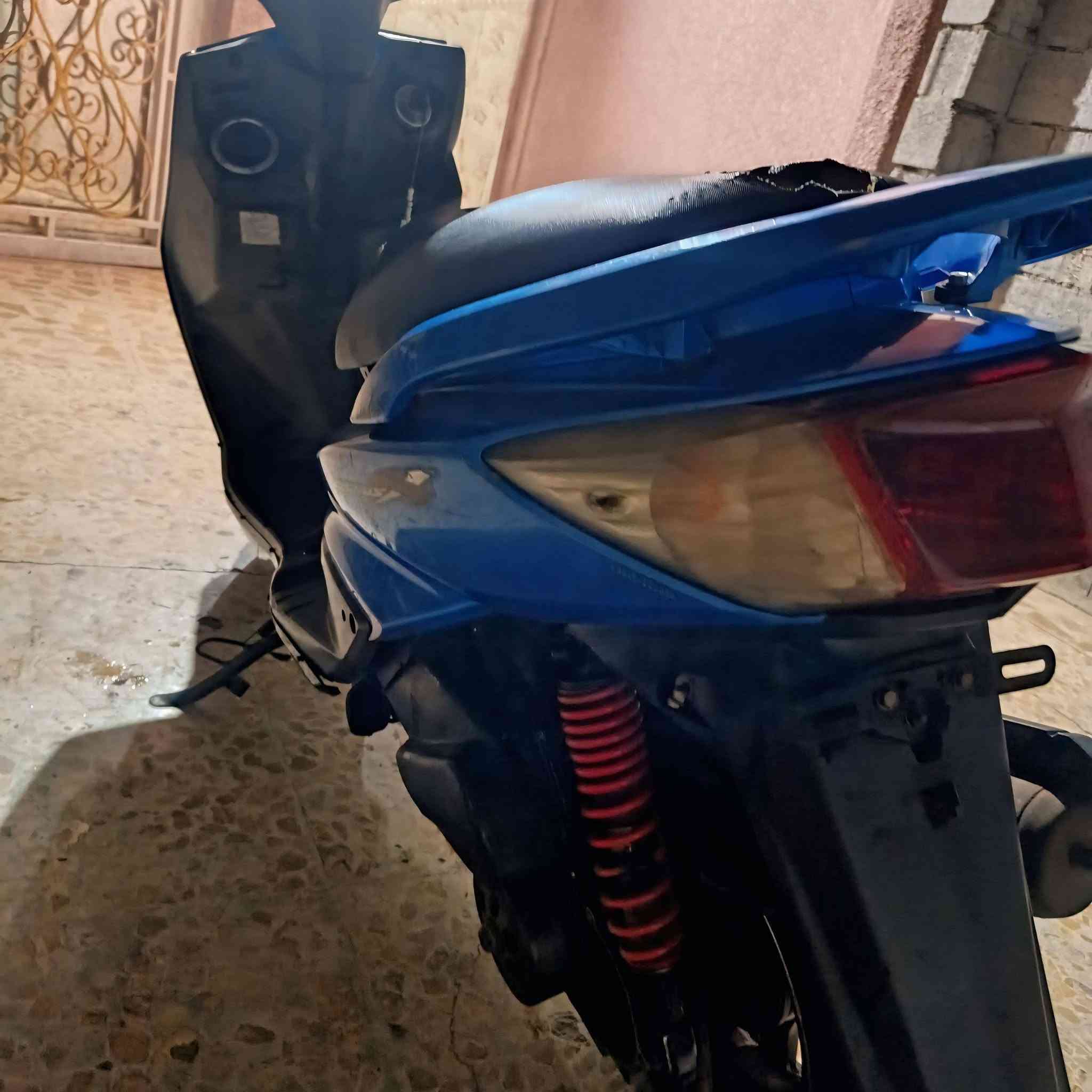 سكنس فحل • بلادية • ختم واحد