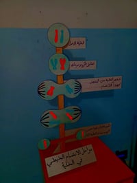 مدينة عنه • رسم وخط • جميع المراحل