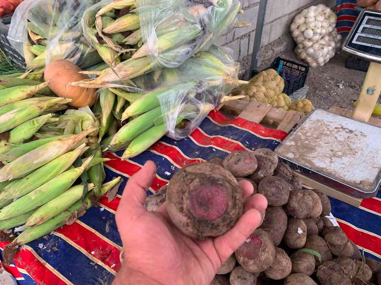 مسواك الجمعة • شوندر • جامع الضاهر